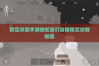 暗区突围手游蝰蛇漏打自瞄稳定功能辅助
